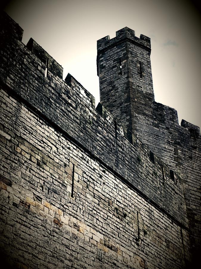Ostello Ty Glyndwr Bunkhouse, Bar And Cafe Caernarfon Esterno foto